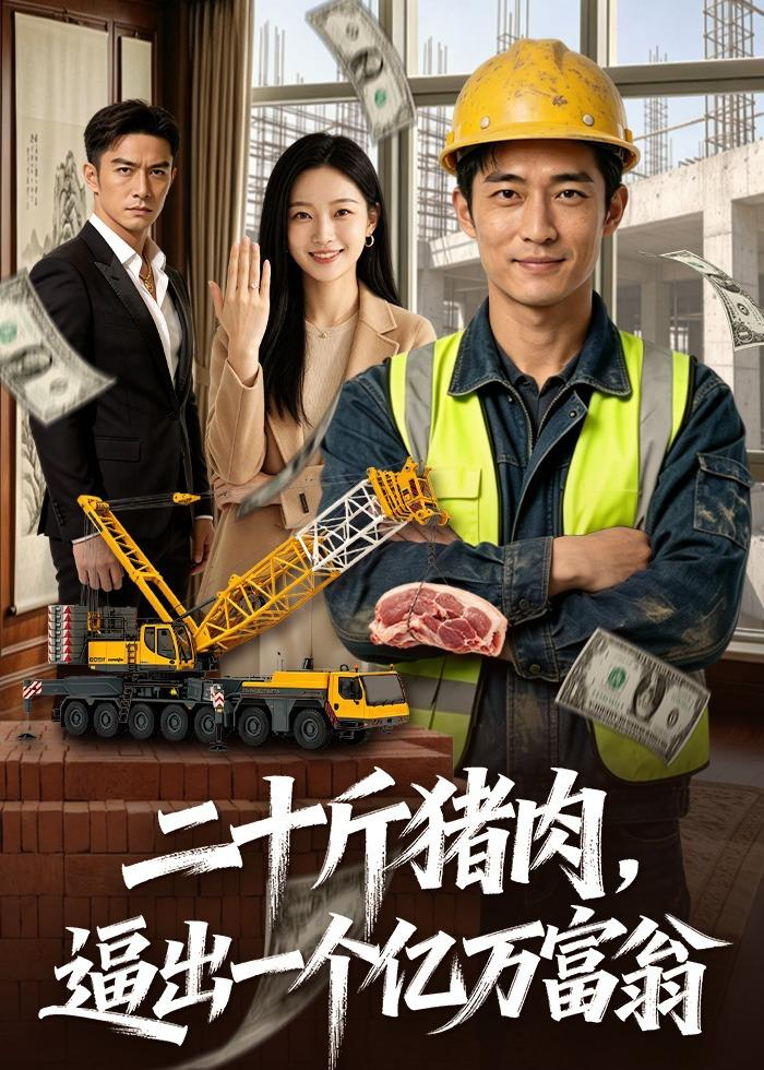 二十斤猪肉，逼出一个亿万富翁(全集)
