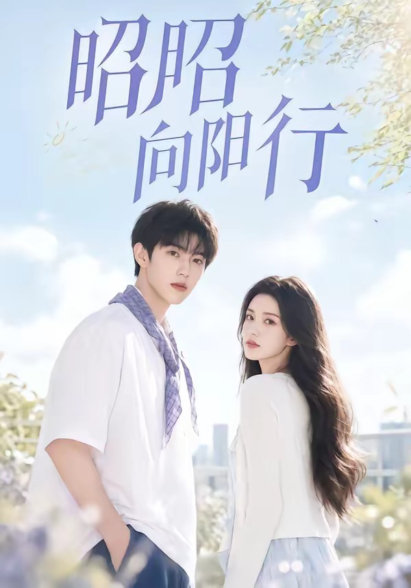 昭昭向阳行(全集)