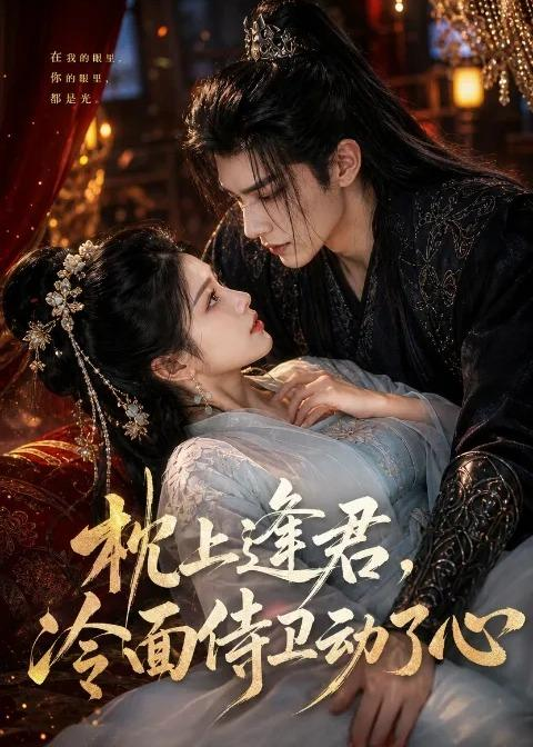 枕上逢君，冷面侍卫动了心(全集)
