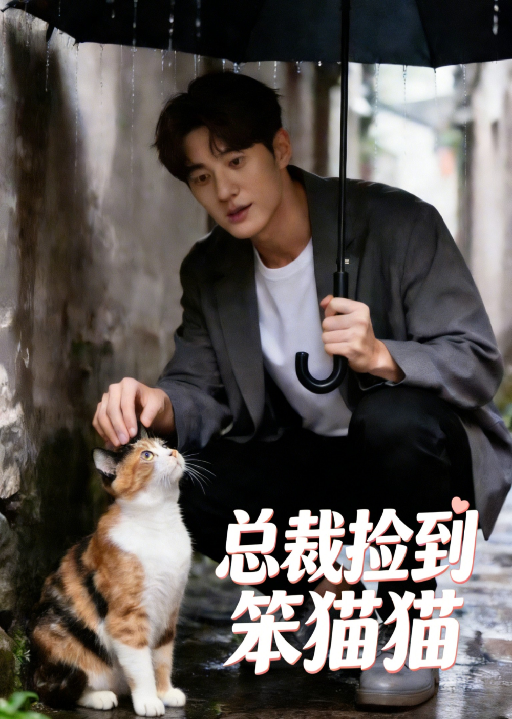 总裁捡到笨猫猫(全集)