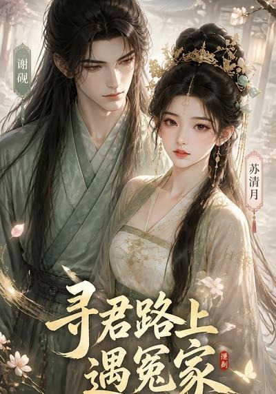 寻君路上遇冤家(全集)
