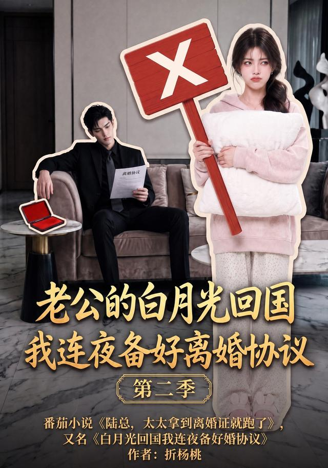 老公的白月光回国我连夜备好离婚协议第二季(全集)