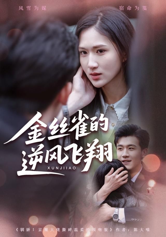 金丝雀的逆风飞翔全集完结(大结局)