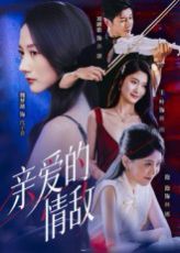 亲爱的情敌全集完结(大结局)