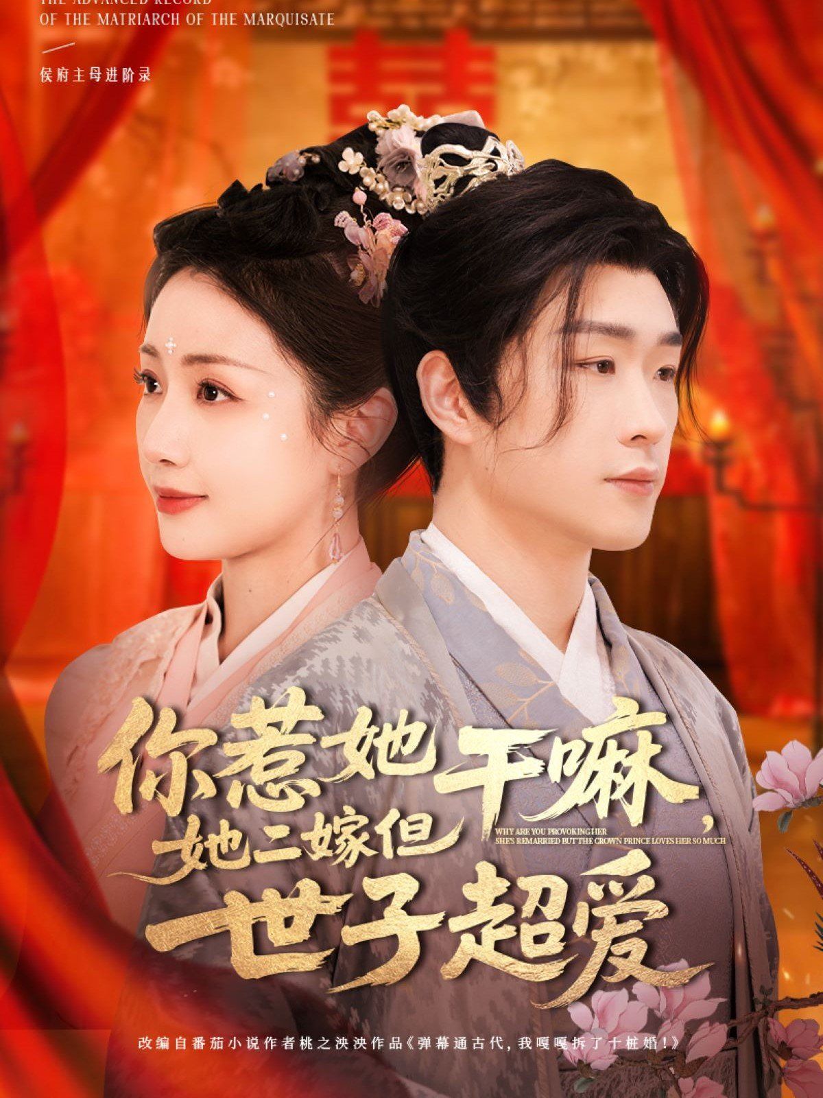 你惹她干嘛她二嫁但世子超爱第1-20集