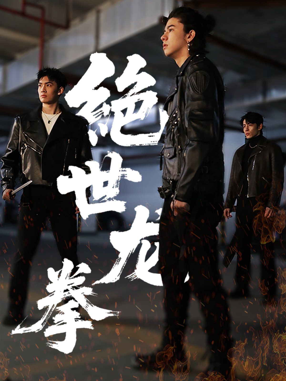 绝世龙拳第21-32集完结(大结局)